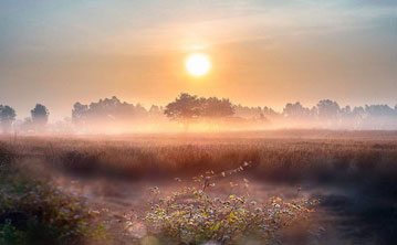 漠蓉，给生活一个从容的机会