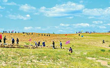 “十三五”我国荒漠化防治成绩单来了！