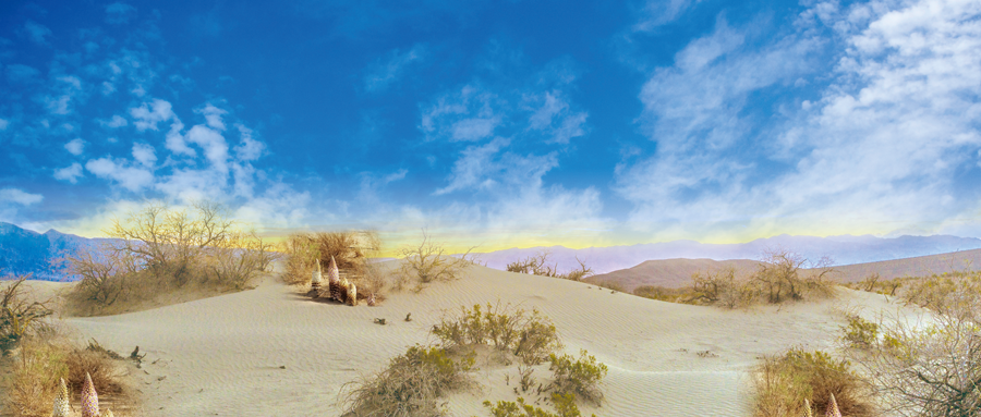 漠蓉，阔步生态与健康的辩证应用创新之路!